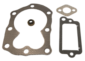 Briggs & Stratton Gasket Set-Valve