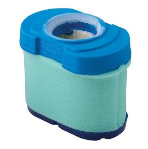 Briggs & Stratton Filter-Air Cleaner Ca