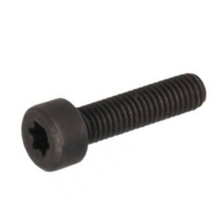 Castel / Twincut / Lawnking Manifold Screw