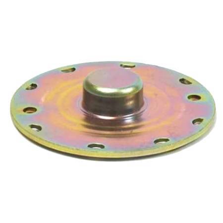 Briggs & Stratton Cap-End