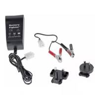 Castel / Twincut / Lawnking Battery Charger Kit 1A Uk-Ce Plug