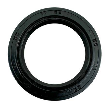 Briggs & Stratton Seal-Oil