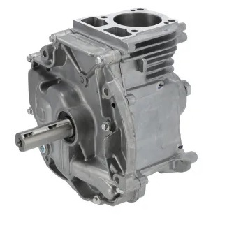 Briggs & Stratton Short Block - DOV Engine - Vertical Crankshaft = 25mm (1") x 80mm (3 5/32")