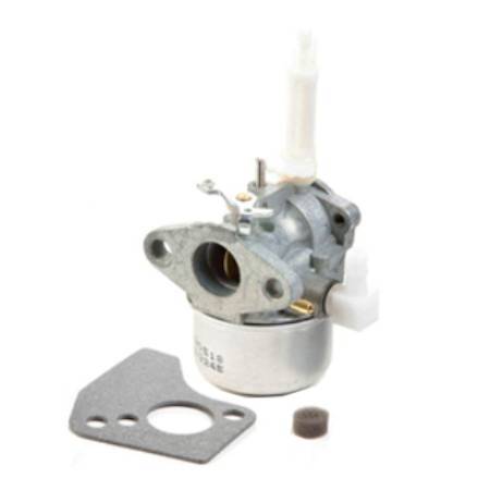 Briggs & Stratton Carburettor