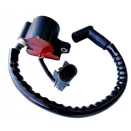 Briggs & Stratton Armature, Magneto