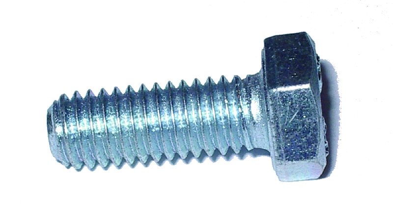 Wolf BOLT