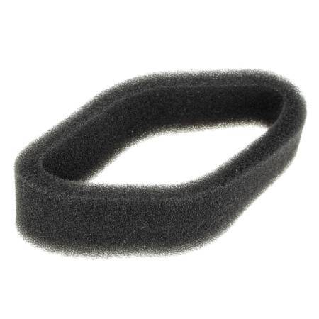 Castel / Twincut / Lawnking Air Filter