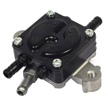 Briggs & Stratton Pump, Fuel