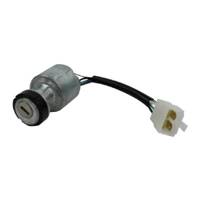 Castel / Twincut / Lawnking Starting Switch