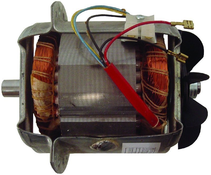 Wolf ELECTRIC MOTOR