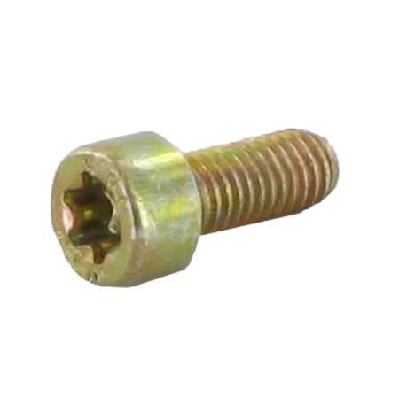 Castel / Twincut / Lawnking Torx Screw M5 X 12 - 2135180