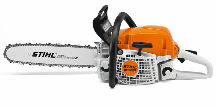 MS 291 Chainsaw